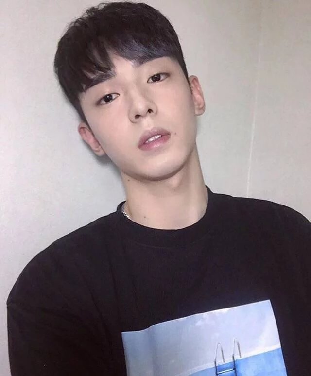 安曼婕紫