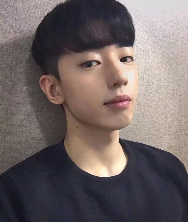 诸梅榕荔