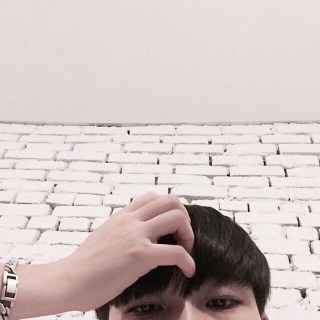 屠露宜洋