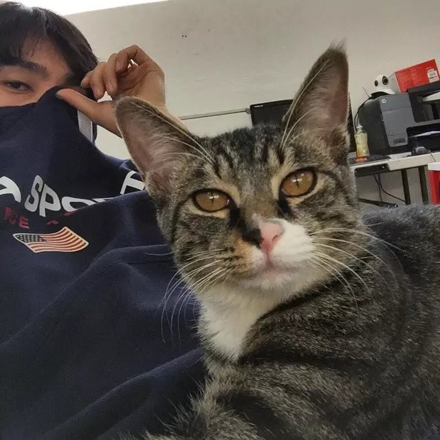 洪武琳烟