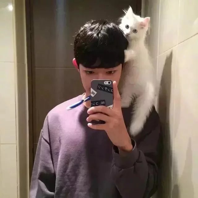 幸蕊素卿