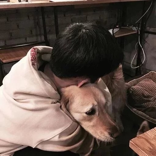 屈雅爱莎