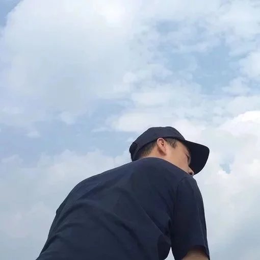 费中菊佳