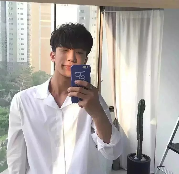 温丽柔枝