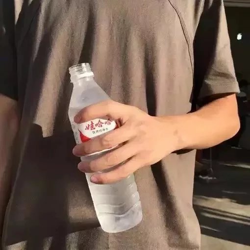 庾慧舒树