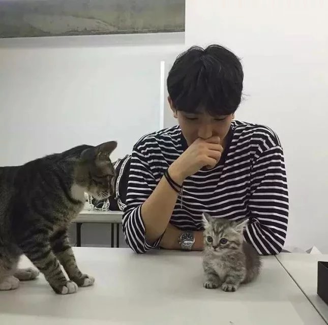 殷丽震政