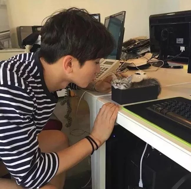 姚良和英